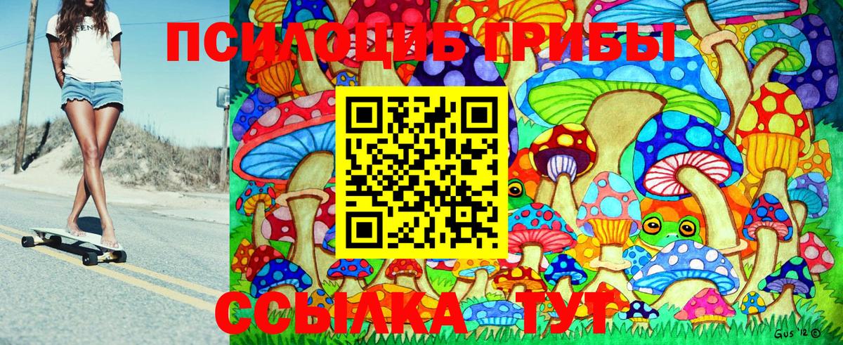 Сибай  Галлюциногенные грибы Cubensis  Вход с VPN  купить   Галлюциногенные грибы Psilocybe 